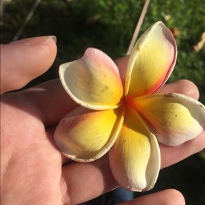 Meet your Posher, Valerie